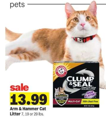 Arm & Hammer Cat Litter