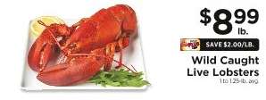 Wild Caught Live Lobsters