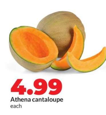 Athena Cantaloupe