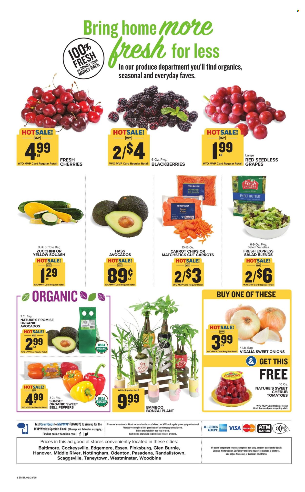 Food Lion ad - 05/28/2025 - 06/03/2025. Page 1