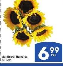 Sunflower Bunches - 5 Stem