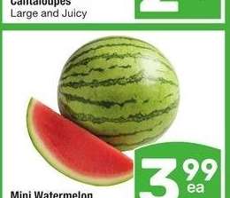 Mini Watermelon - Seedless