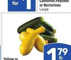 Yellow or Zucchini Squash