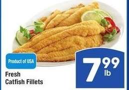 Fresh Catfish Fillets