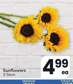 Sunflowers - 3 Stem