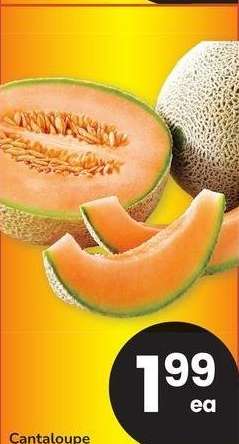 Cantaloupe