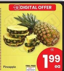 Pineapple