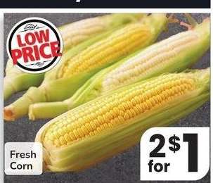 Fresh Corn