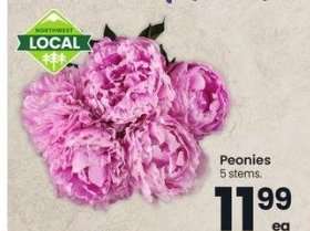 Peonies - 5 stems.