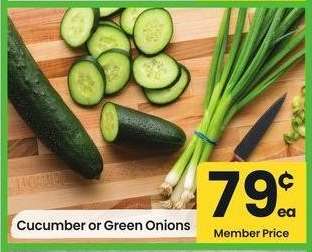 Cucumber or Green Onions