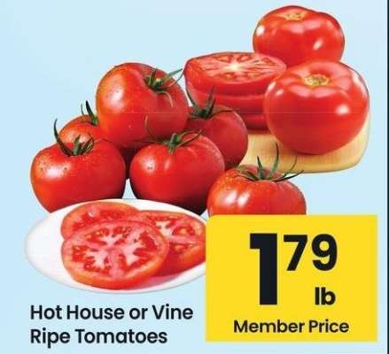 Hot House or Vine Ripe Tomatoes