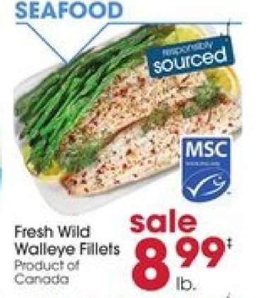 Fresh Wild Walleye Fillets