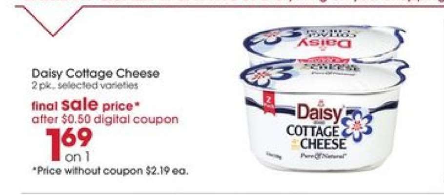 Daisy Cottage Cheese