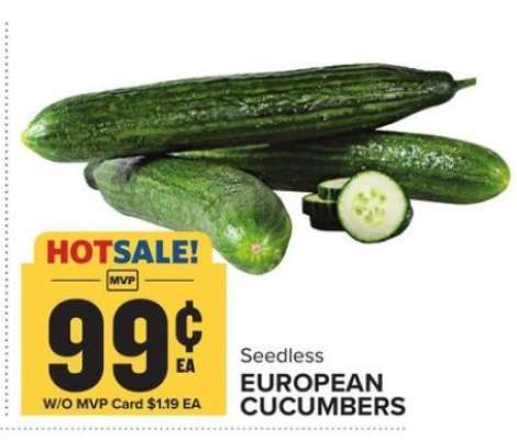 European Cucumbers
