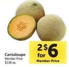 Cantaloupe