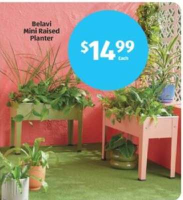 Belavi Mini Raised Planter