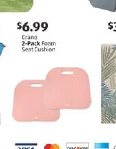 Crane 2-Pack Foam Seat Cushion