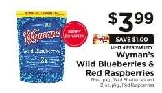 Wyman's Wild Blueberries & Red Raspberries