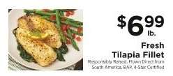 Fresh Tilapia Fillet