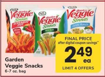 Garden Veggie Snacks