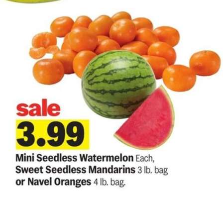 Mini Seedless Watermelon, Sweet Seedless Mandarins, or Navel Oranges