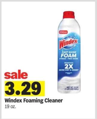 Windex Foaming Cleaner