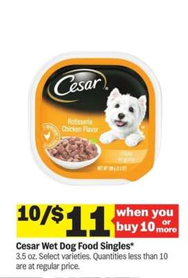 Cesar Wet Dog Food Singles*