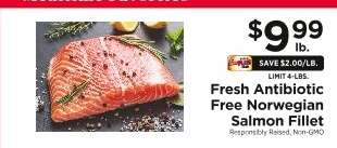 Fresh Antibiotic Free Norwegian Salmon Fillet