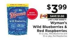 Wyman's Wild Blueberries & Red Raspberries