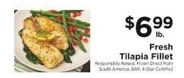 Fresh Tilapia Fillet
