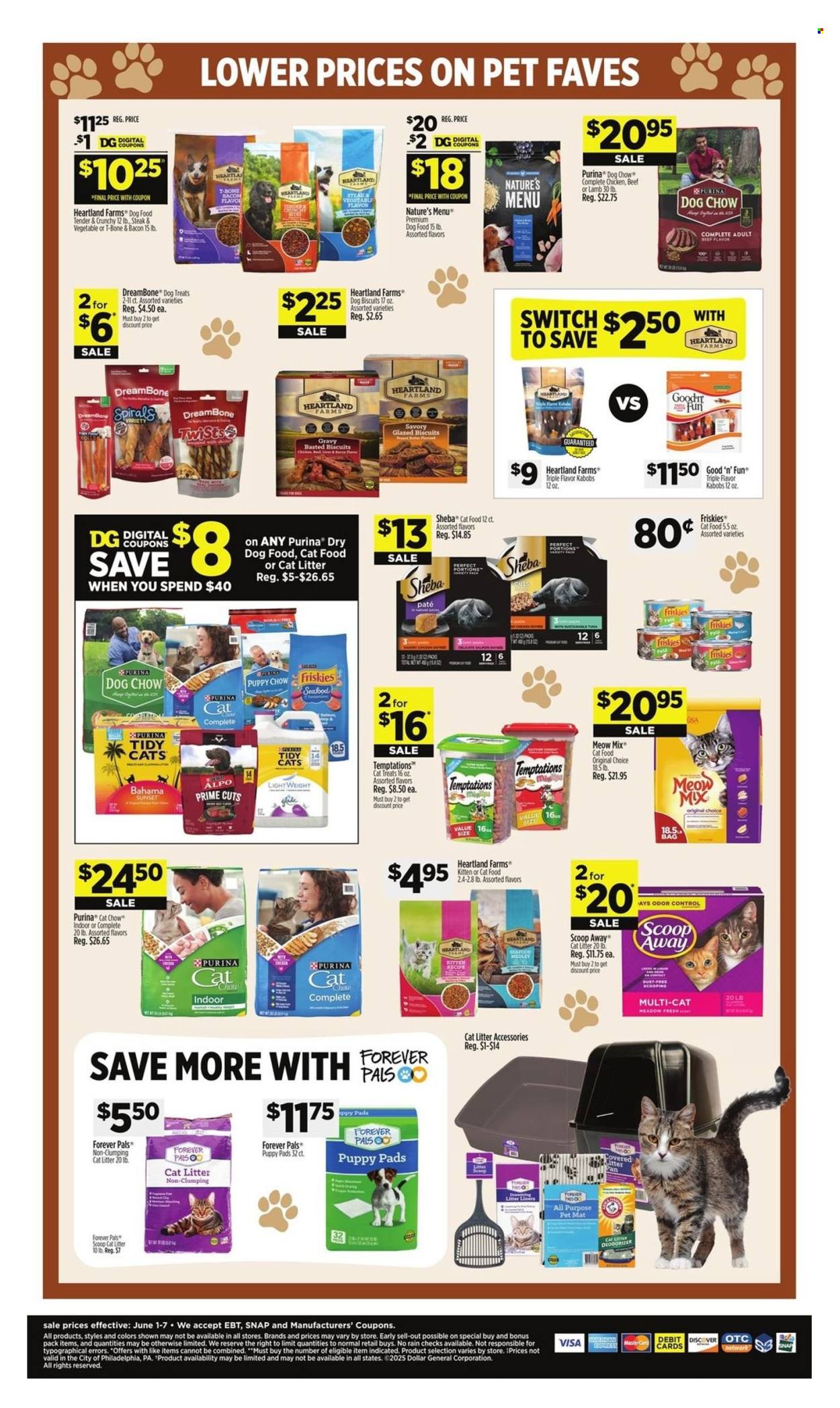 Dollar General ad - 06/01/2025 - 06/07/2025. Page 9