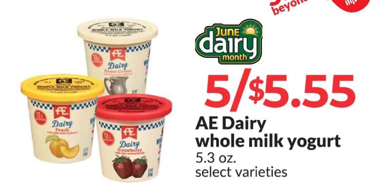 AE Dairy whole milk yogurt