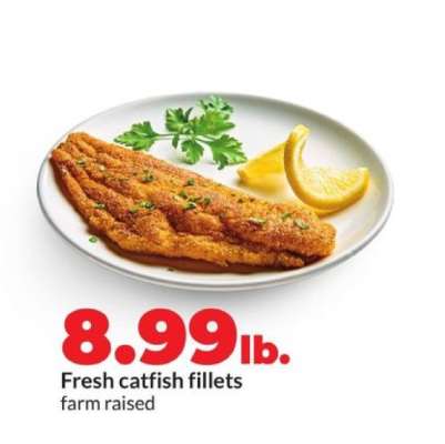 Fresh Catfish Fillets