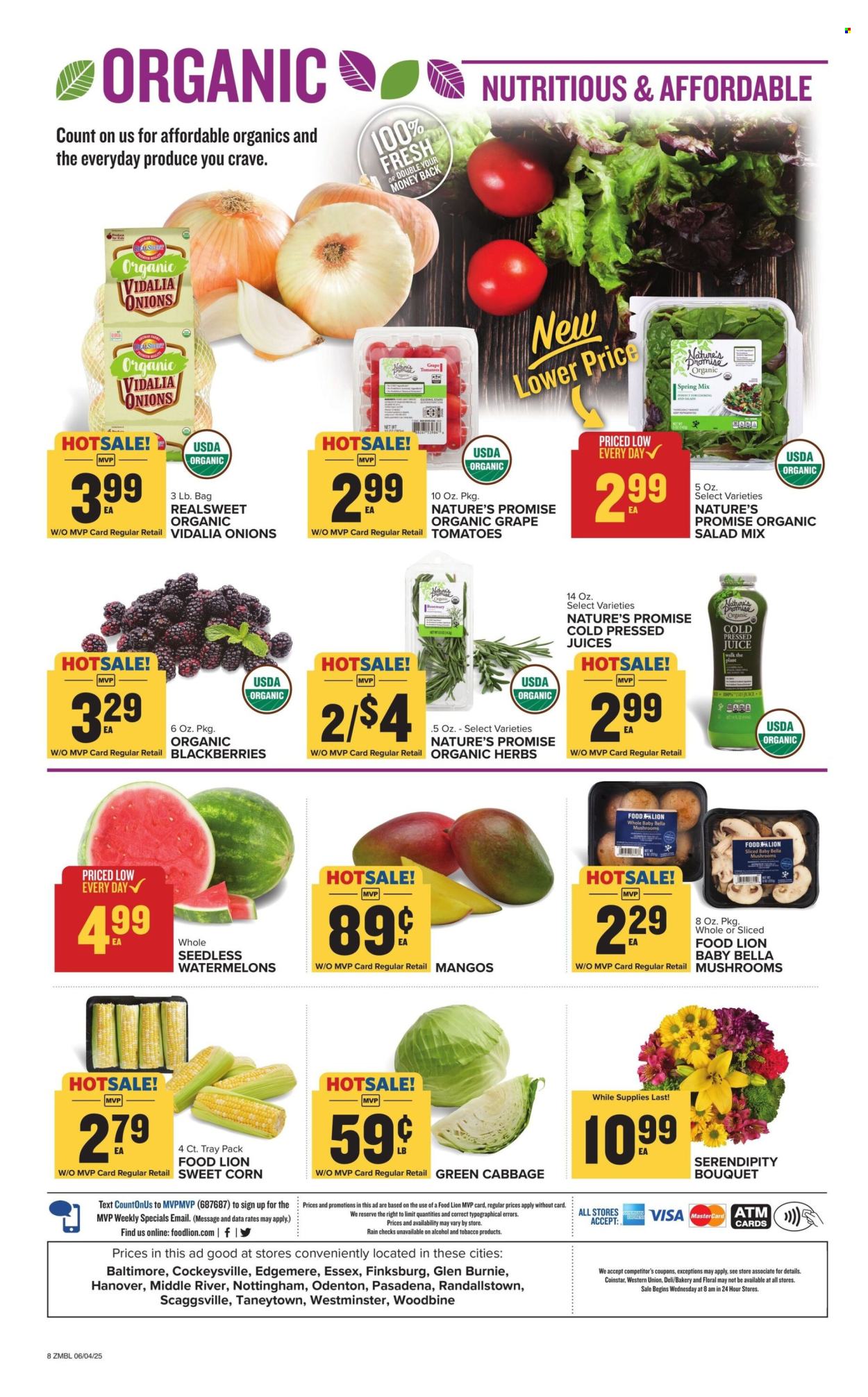 Food Lion ad - 06/04/2025 - 06/10/2025. Page 8