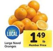 Large Navel Oranges