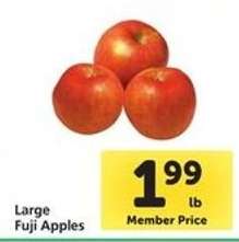 Large Fuji Apples