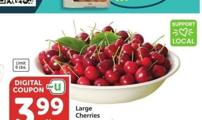 Large Cherries - Member Price: $5.99 lb.