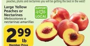 Large Yellow Peaches or Nectarines - Melocotones o
nectarinas amarillas