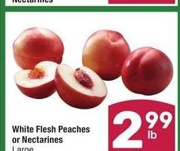 White Flesh Peaches or Nectarines - Large