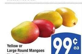 Yellow or Large Round Mangoes - Your Choice