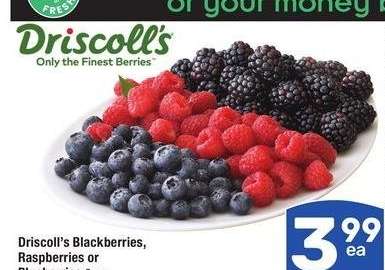 Driscoll's Blackberries, Raspberries or Blueberries 6 oz.