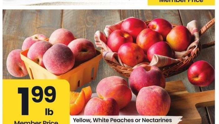 Yellow, White Peaches or Nectarines