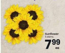 Sunflower - 5 stems.