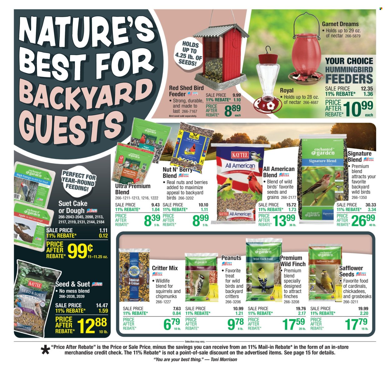 Menards ad - 06/05/2025 - 06/15/2025. Page 29