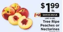 Tree Ripe Peaches or Nectarines