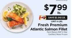 Fresh Premium Atlantic Salmon Fillet
