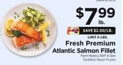 Fresh Premium Atlantic Salmon Fillet