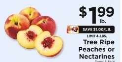 Tree Ripe Peaches or Nectarines