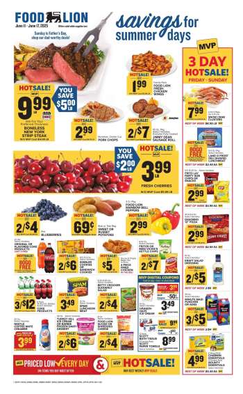 thumbnail - Food Lion Ad - Weekly Ad