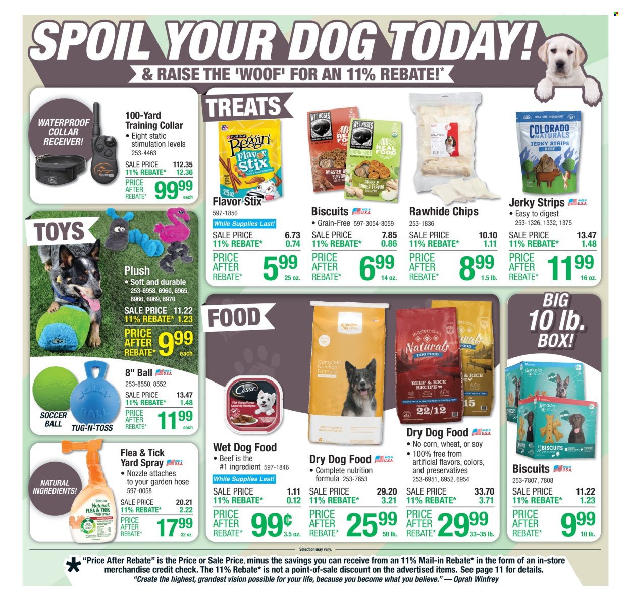 Menards ad - 06/12/2025 - 06/22/2025. Page 19